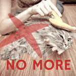 Gentle Deshedding Glove