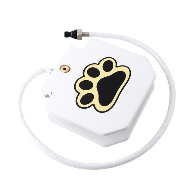 Dog Water Fountain